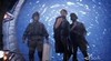 Stargate